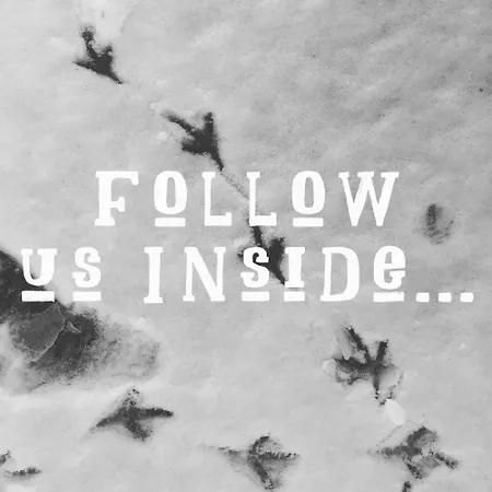 Apartamento Inside Plaza Serra Nevada