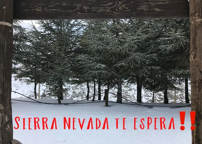 إنسايد بلازا سييرا نيفادا