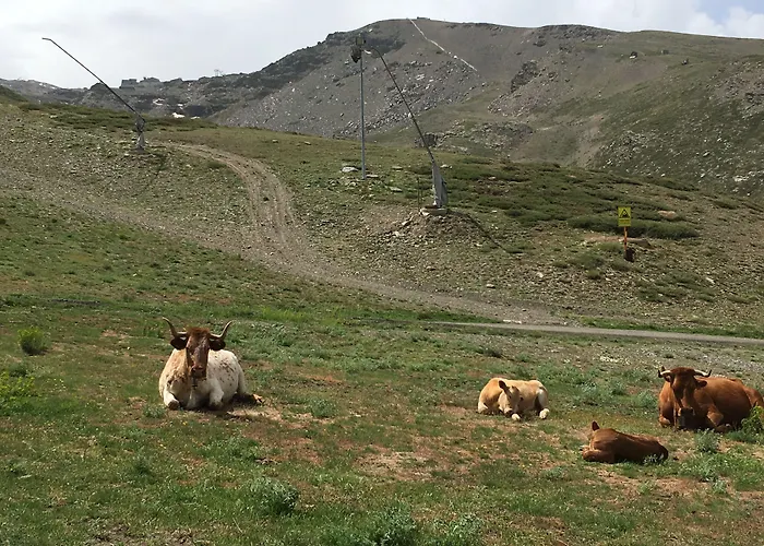 إنسايد بلازا سييرا نيفادا سْييرا نيفادا