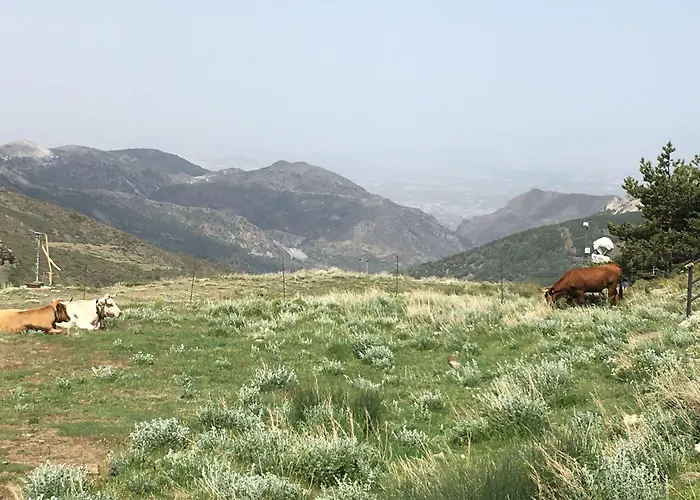 إنسايد بلازا سييرا نيفادا شقة سْييرا نيفادا